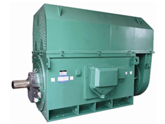 天水Y系列6KV高压电机生产厂家